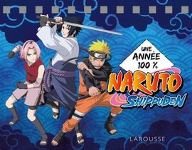 Naruto Shippuden : Une Annee 100% 