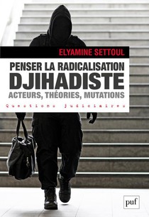 Penser La Radicalisation Djihadiste : Acteurs, Theories, Mutations 