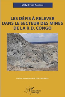 Les Defis A Relever Dans Le Secteur Des Mines De La R.d. Congo 