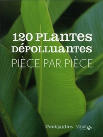 120 Plantes Depolluantes ; Piece Par Piece 