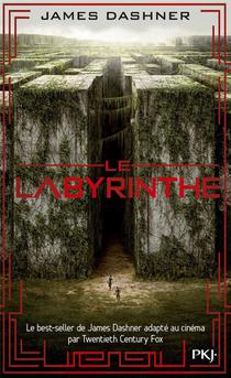 L'epreuve T.1 ; Le Labyrinthe 