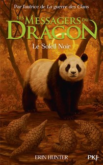 Les Messagers Du Dragon - Cycle 1 Tome 4 : Le Soleil Noir 