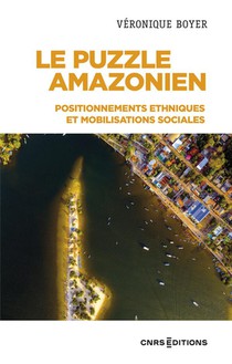 Le Puzzle Amazonien : Positionnements Ethniques Et Mobilisations Sociales 