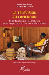 La Television Au Cameroun : Regards Croises Sur Les Pratiques Et Les Usages Dans Un Systeme Sociotechnique 