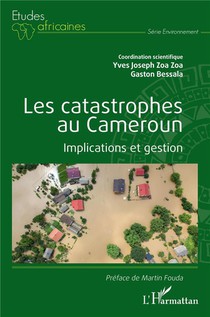 Les Catastrophes Au Cameroun : Implications Et Gestion 