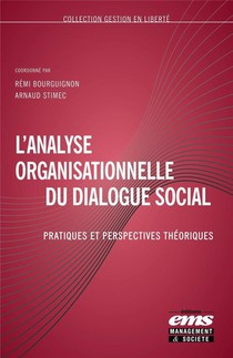 L'analyse Organisationnelle Du Dialogue Social : Pratiques Et Perspectives Theoriques 