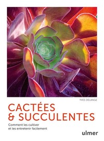 Cactees Et Succulentes : Comment Les Cultiver Et Les Entretenir Facilement 