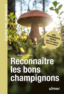 Reconnaitre Les Bons Champignons : Guide De Terrain 
