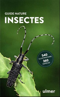 Insectes 