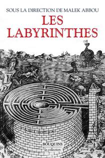 Les Labyrinthes : Vingt Mille Ans De Metamorphoses 