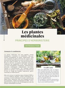 Les Plantes Medicinales : Principes D'herboristerie 