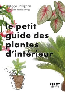 Le Petit Guide Des Plantes D'interieur 