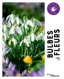 Bulbes A Fleurs : Petite Encyclopedie Du Jardin 