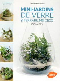 Mini-jardins De Verre & Terrariums Deco Pas A Pas 