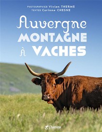 Auvergne Montagne A Vaches 