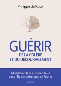 Guerir De La Colere Et Du Decouragement : Meditation Face Aux Scandales De L'eglise Catholique En France 