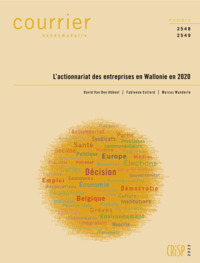 Actionnariat Wallonie 2020 