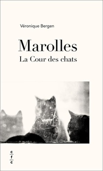 Marolles : La Cour Des Chats 