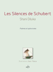 Les Silences De Schubert 