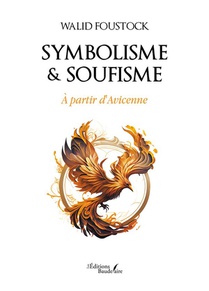 Symbolisme & Soufisme : A Partir D'avicenne 