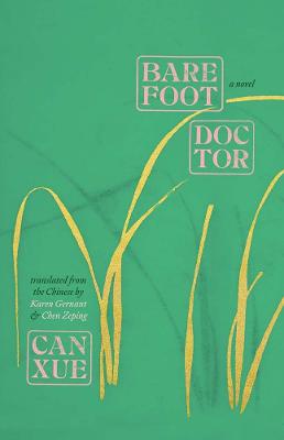 Barefoot Doctor ; A Novel