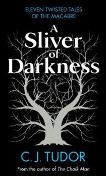 A Sliver of Darkness 