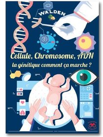 Cellule, Chromosome, Adn... La Genetique Comment Ca Marche ? 
