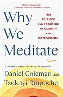 Why We Meditate 