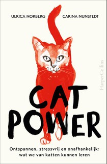 Cat Power 