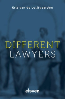 Different Lawyers 