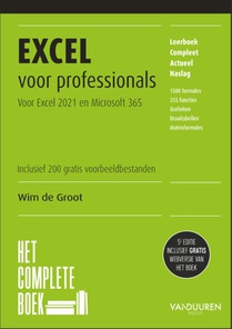 Excel voor professionals 