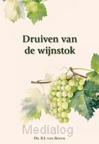 Druiven Van De Wijnstok 