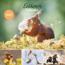 Eekhoorn kalender 2025 