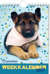 Rachael Hale Hond weekkalender 2023 