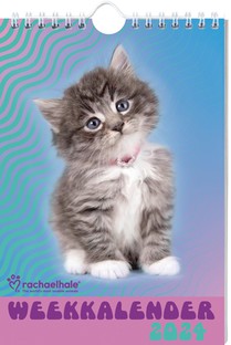 Rachael Hale Katten weekkalender 2024 