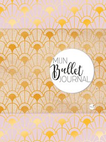 Mijn bullet journal 