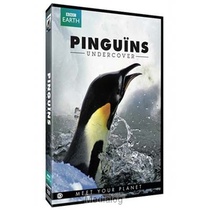 Pinguins Undercover (eo-bbc Earth Dvd) 
