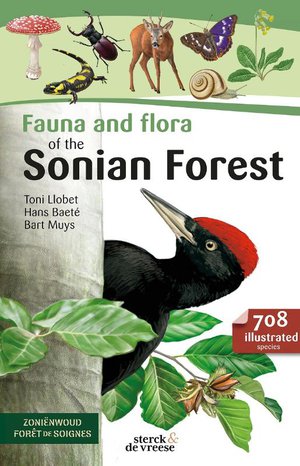 Fauna and Flora of the Sonian forest