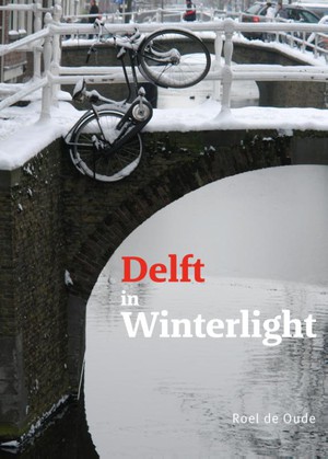 Delft in Winterlight