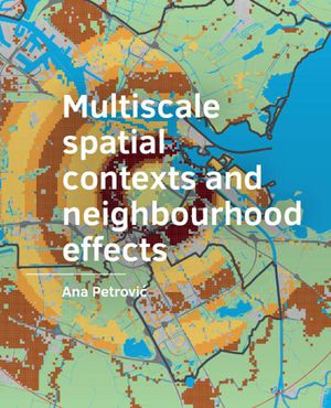 Multiscale spatial  contexts and  neighbourhood effects