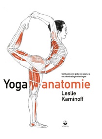 Yoga anatomie 