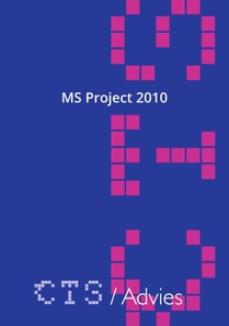 MS Project 2010 