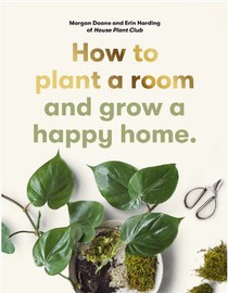 How to plant a room 