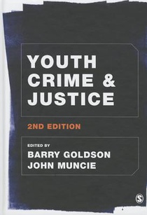 Youth Crime and Justice 