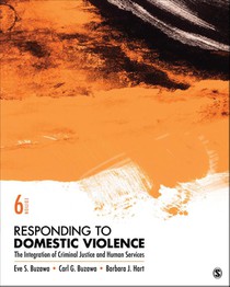 Responding to Domestic Violence 