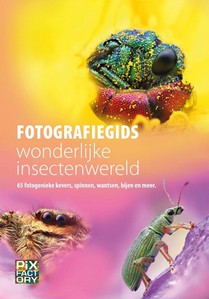 Fotografiegids wonderlijke insectenwereld 