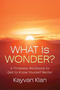 What Is Wonder? 
