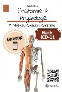 Anatomie & Physiologie Band 11: Muskel-Skelett-System 