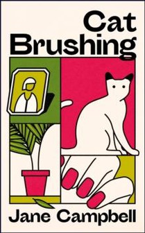 Cat Brushing 