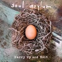 Soul Asylum: Hurry Up And Wait (Music Cassette)